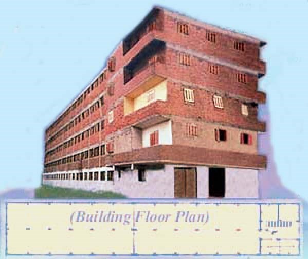 مطلوب معدات لمزرعة دواجن .