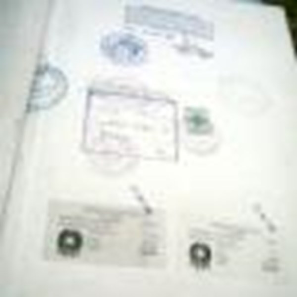 فرصه متميزه لتمويل المشروعات الجاده فى مصر  .