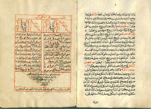 خضار وفاكهة مجمدة اكلتى .