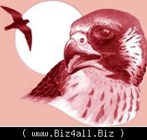 مطلوب مخطط ومنفذ مشاريع .