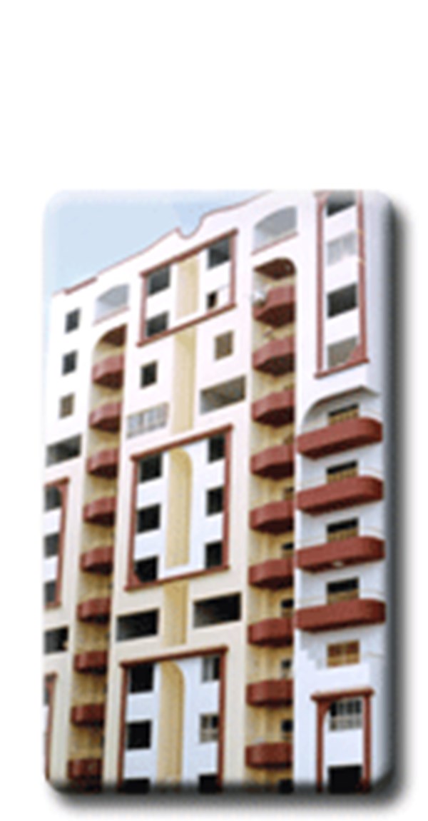 منظم الشنطة اليد للسيدات الكانجرو .