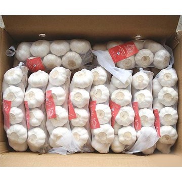 التسويق للالكترونى للشركات .