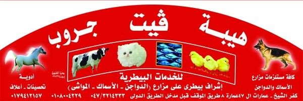 مطلوب وكيل بالاسكندرية لمجموعة هيبة فيت  .