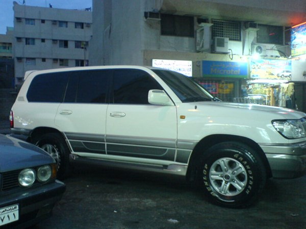 بصل مصري للتصدير .