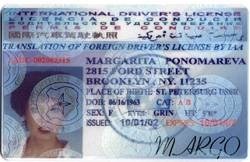 رخص قيادة دولية امريكية