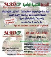 المزرعة للتنمية الزراعية M A D