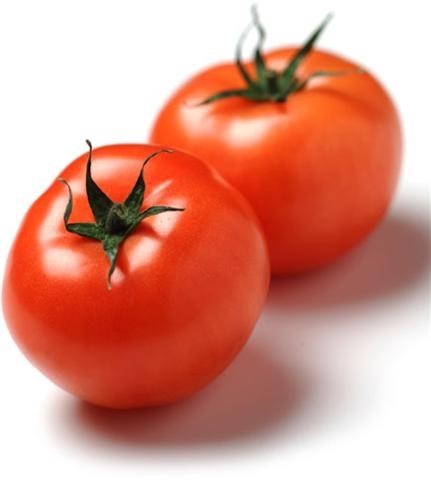 الهوارى لتصدير الخضروات طماطم بندورة