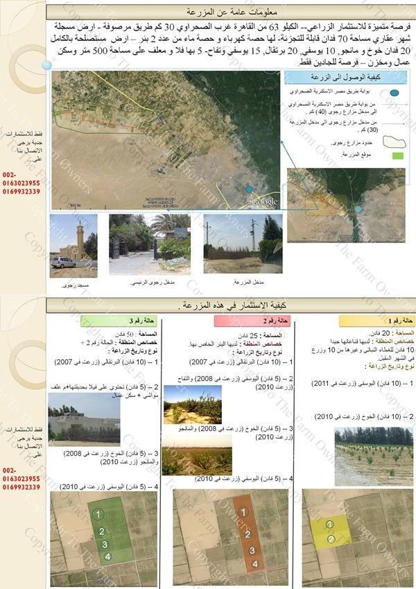 فرصة متميزة للاستثمار الزراعي الصحراوي الكيلو 63