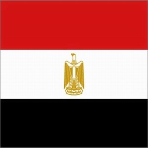 المؤسسة المصرية للمقاولات العامة تقدم عرضها للافراد و للشركات