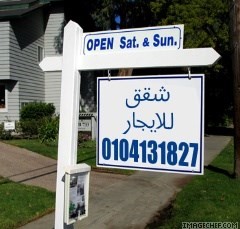 مطلوب شقق للايجار ق ج و مفروش .