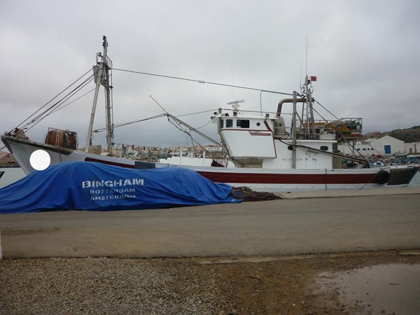 قارب صيد سردين للبيع قارب تقريبا جديد بمدينة الناظور بالقرب من السعيدية