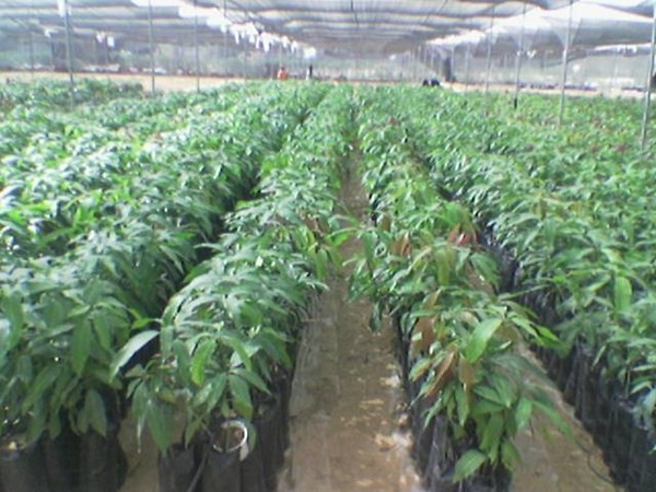 مطلوب اجهزة كومبيوتر لمجموع ابوشوشة للتنمية  .