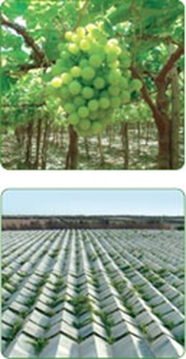 عروض تجارية من مجموعتنا .