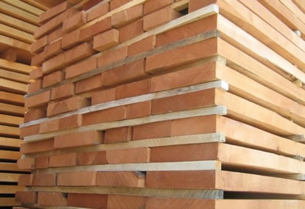 خشب روماني من المصدر مباشرة بياض شوح زان .