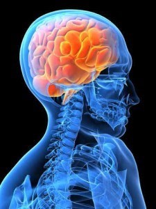 عيادة المخ والاعصاب والعمود الفقرى