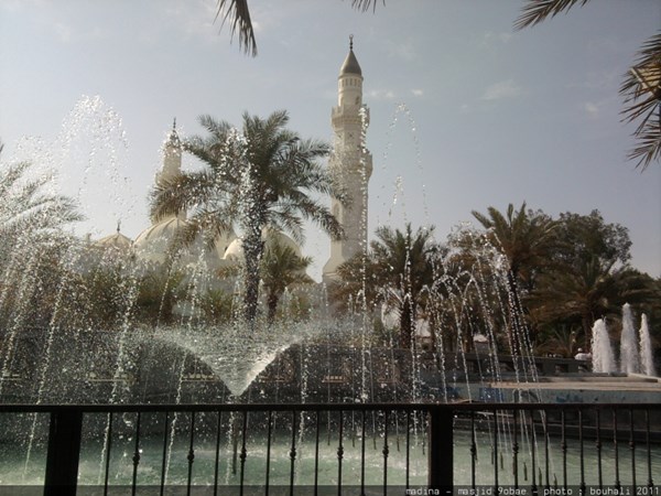 مطلوب مستثمر كشريك بمجال إنتاج وتصنيع تمر  .