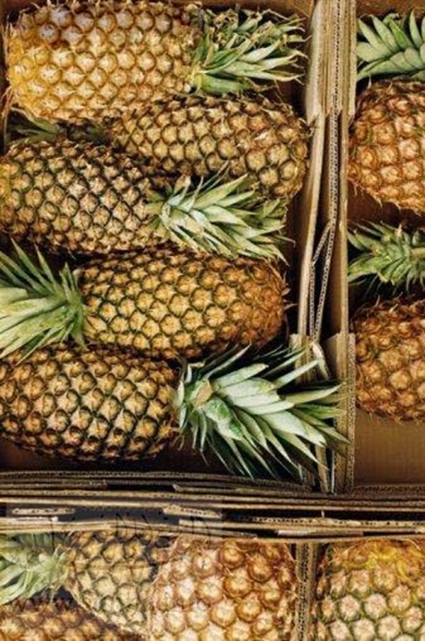 استثمر اموالك بسوق الجملة للخضر والفاكهة .