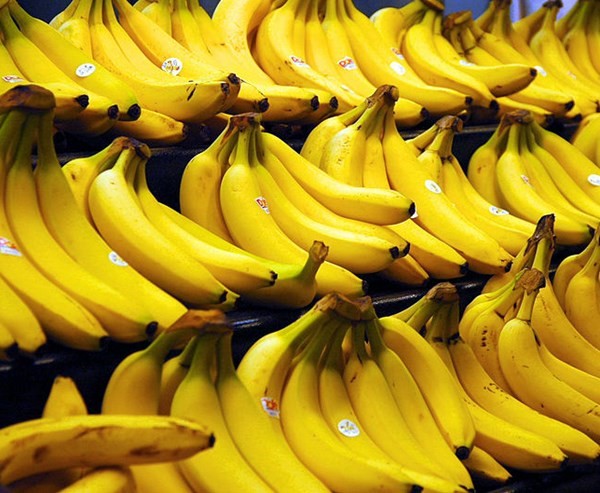 تصدير افضل انواع الموز المصرى اسعار تنافس الجميع