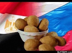 تصدير اجود انواع البطاطس المصريه