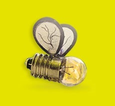 الاستشارات التجارية والاستثمارية .