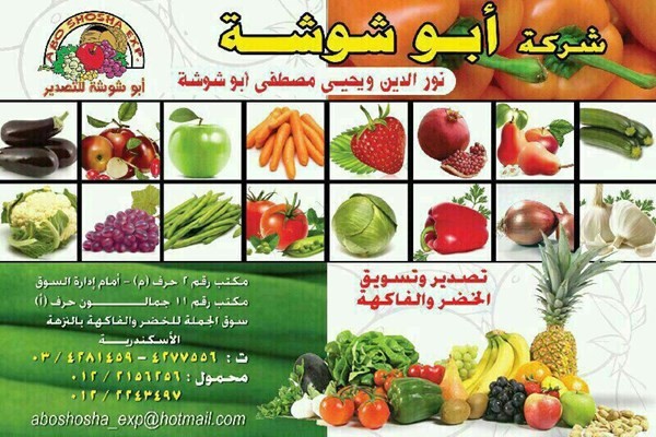 شركة ابوشوشة لبيع وتسويق الفواكه والخضروات