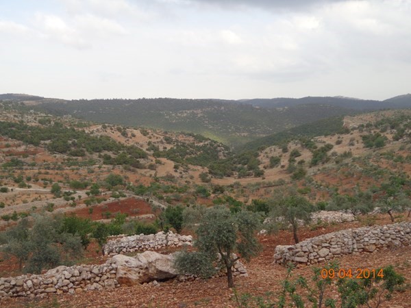 مزرعة للبيع في الاردن عجلون