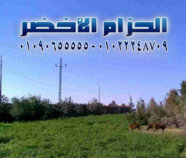 ارض للبيع بالحزام الاخضر حوض 16