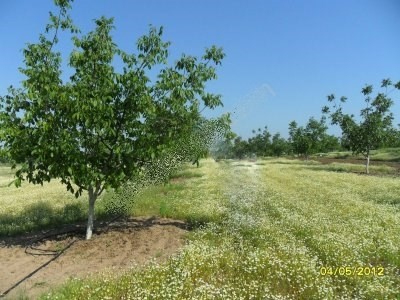 ارض زاعية بمدينة ادرنا تصلح لاستثمار الزراعى للتربية الحيوان تركيا