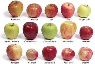 تفاح المانى ممتاز رقم واحد فى اوروبا