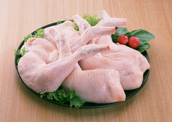 الدجاج تركيا دواجن