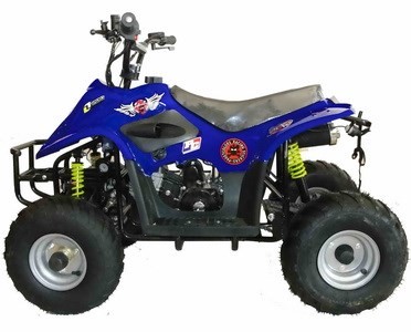 beach buggy 110 cc