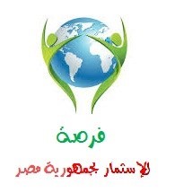 الاستثمار فى مصر