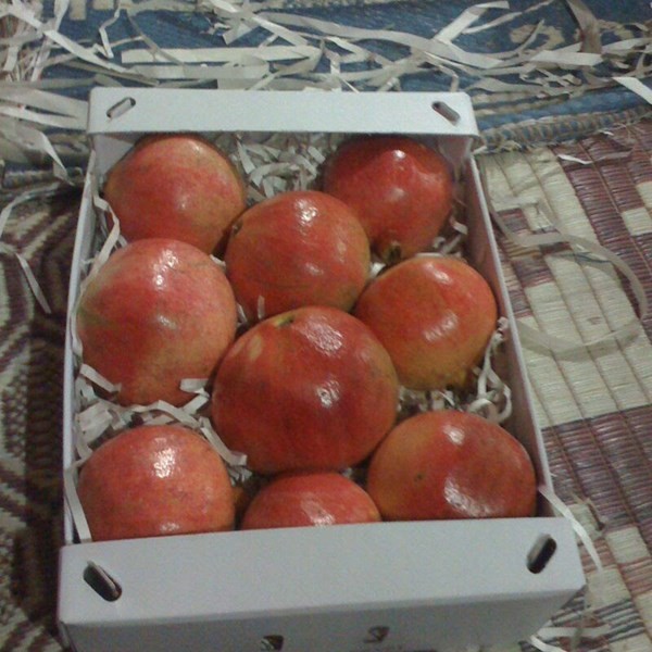 رمان مصرى عالى الجوده لتصدير fresh pomegranate