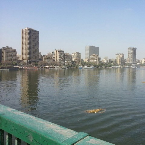 برج للبيع فى مصر على النيل مباشرة .