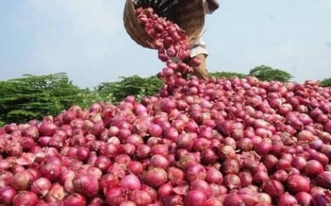 بصل احمر واصفر عالى الجوده