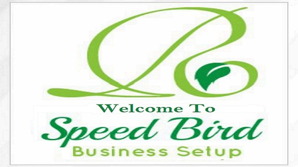 Business Setup in Dubai PRO Services Typing Services