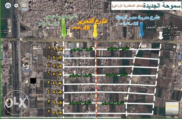 قطع اراضى صالحة لبناء ابراج بسموحة الجديدة بالاسكندرية