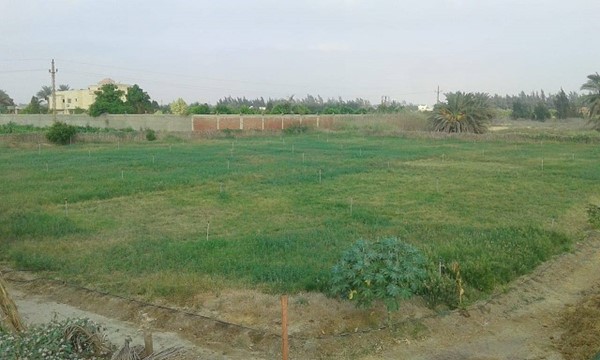 مزرعة للبيع 2 فدان جاهزة على الاستلام طريق مصر اسكندريه الصحراوي