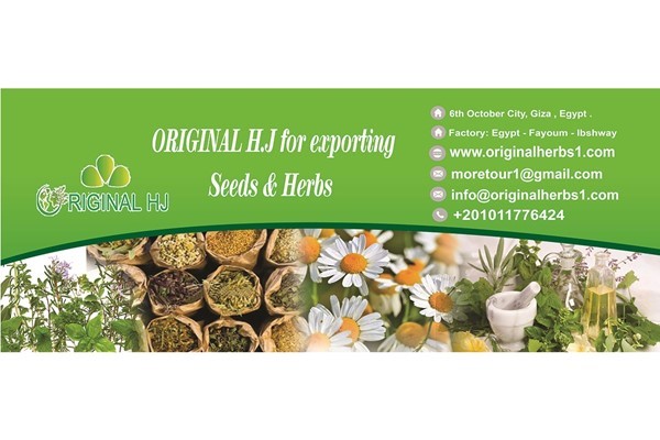 شركة اوريجينال لانتاج و تصدير الاعشاب الطبية و النباتية و البذور الزراعية