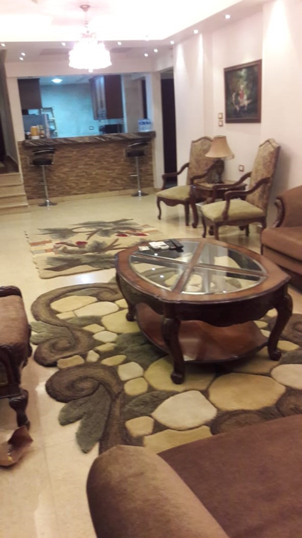 For rent apartment 210m modern Furniture in Dokki