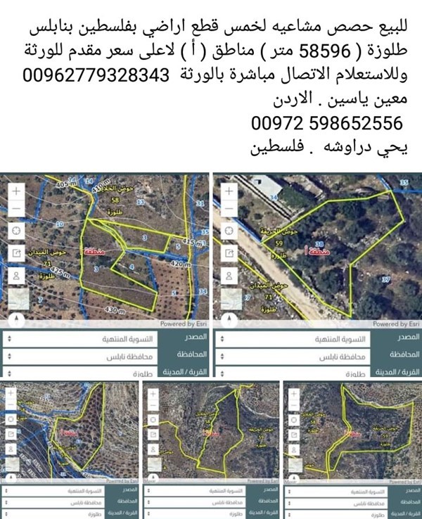 عقار فلسطين نابلس طلوزة