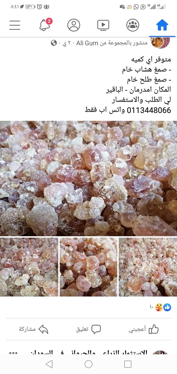 صمغ لبان frankincense