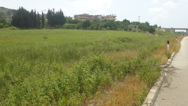 أرض على اتوستراد اللاذقية حلب الجديد تصلح لأي مشروع سياحي صناعي زراعي