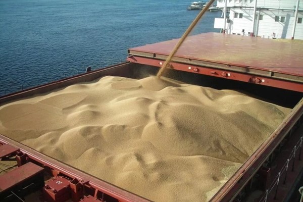 Export of wheat grain from Russia to Turkey .