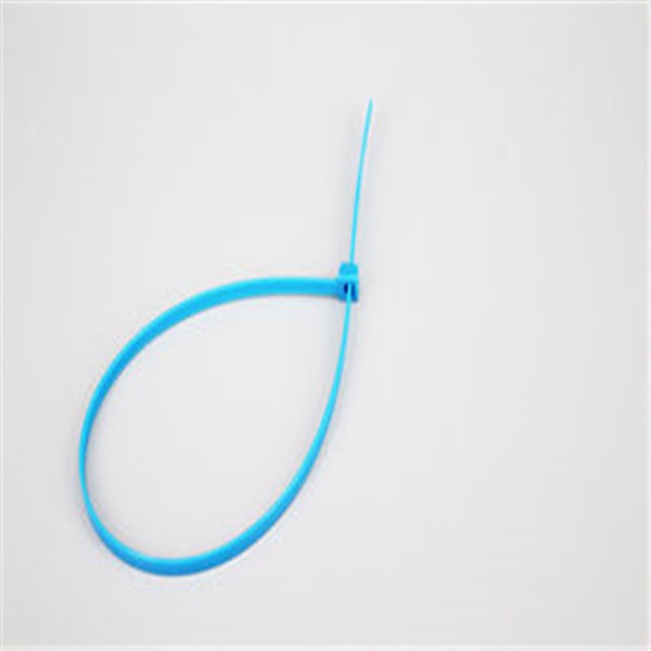 36x400 Nylon Cable Ties