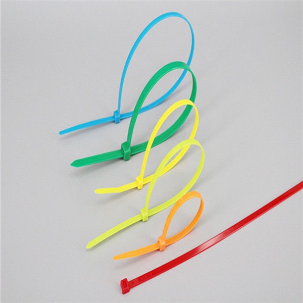 25x150 Nylon Cable Ties