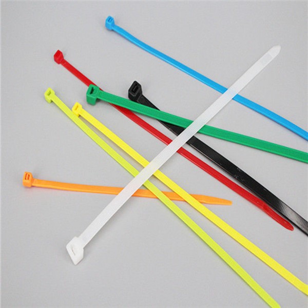 25x80 Nylon Cable Ties