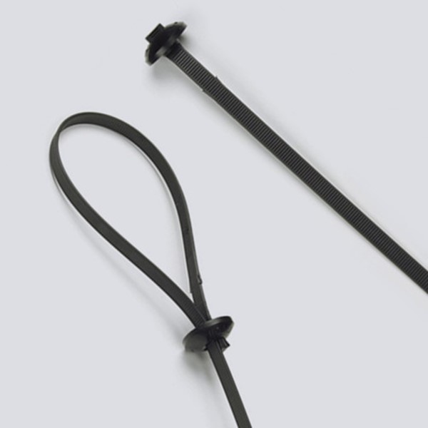 Chassis Cable Ties