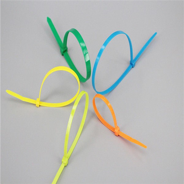 Self Locking Nylon Cable Ties