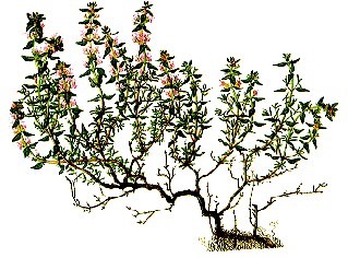 جديد من المغرب .